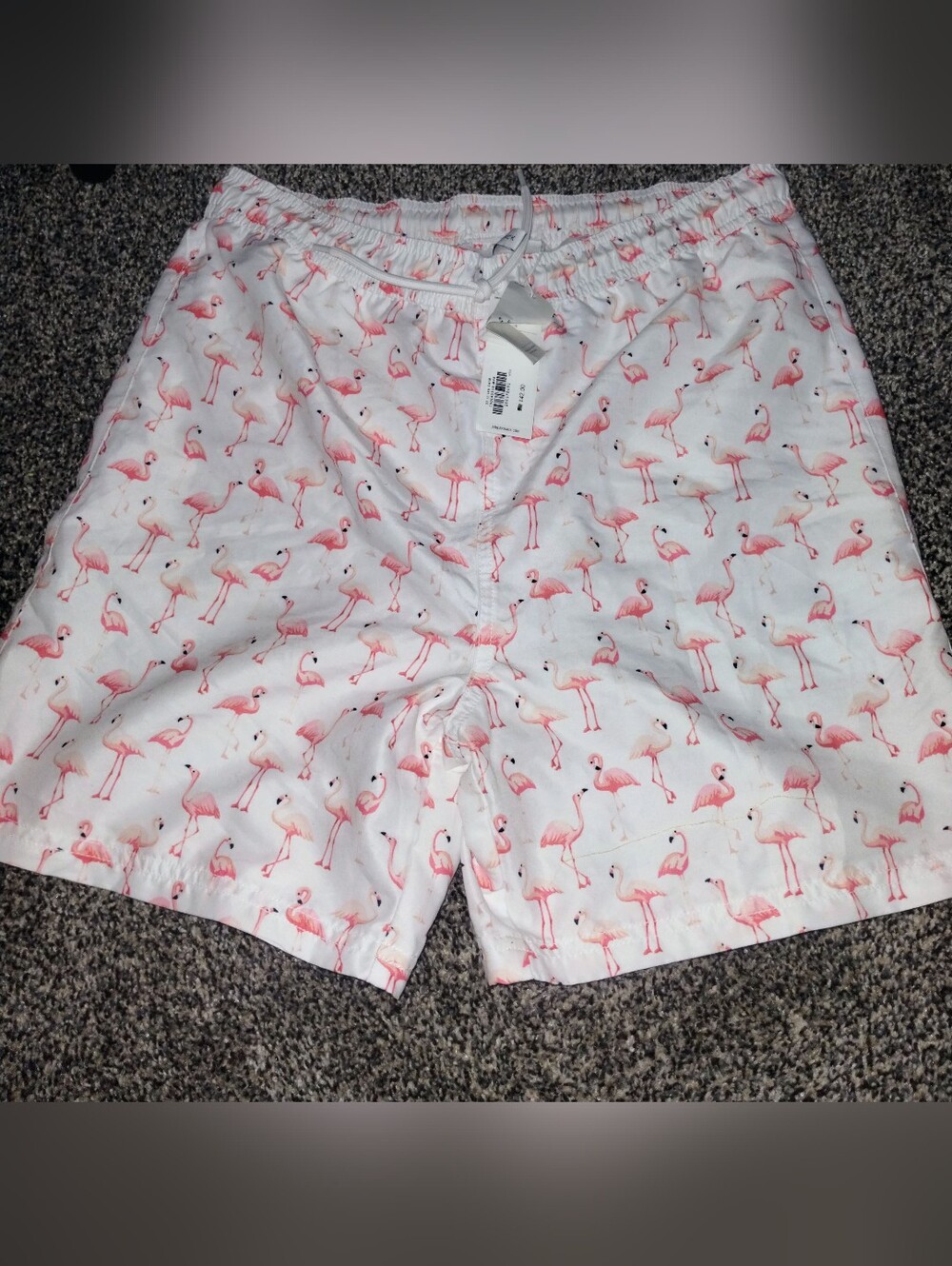 NWT 🦩 Janie and Jack Boys Flamingo Swim Trunks Size 18